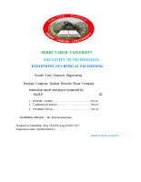final report ZZ (1).pdf